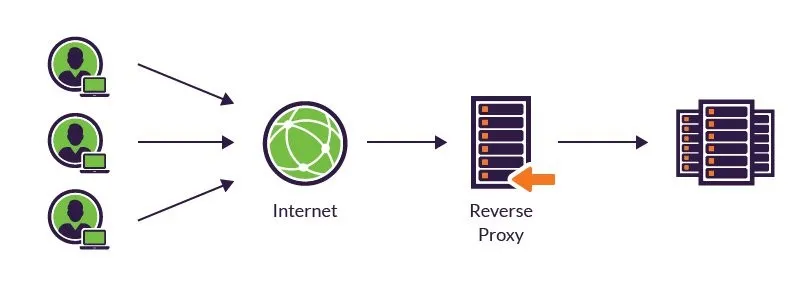 Reverse Proxy